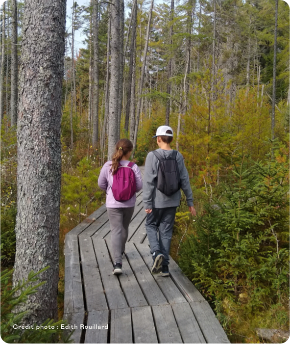 group 12 - Parc écoforestier de Johnville