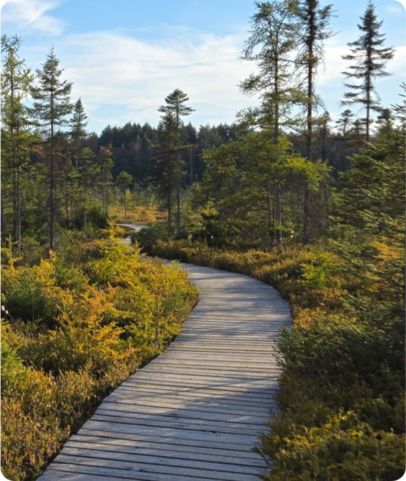group 14 - Parc écoforestier de Johnville