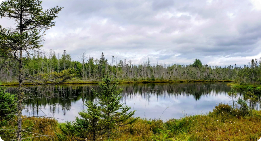 group 26 - Parc écoforestier de Johnville