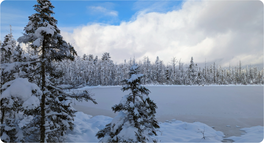 group 29 - Parc écoforestier de Johnville