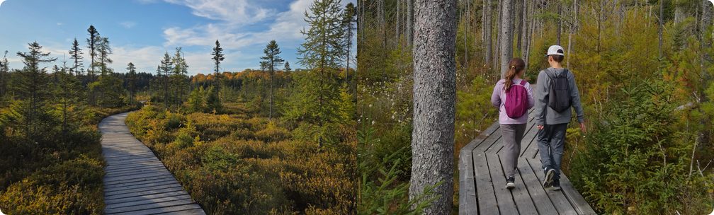 en tete decouvrir - Parc écoforestier de Johnville