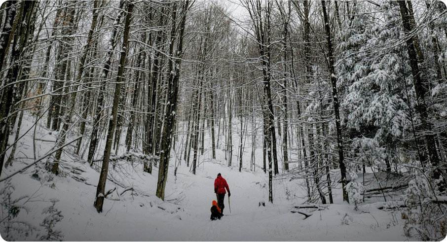 istock 855252362 copy 2 - Parc écoforestier de Johnville