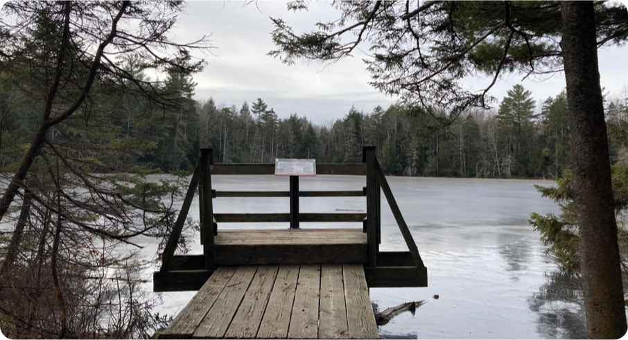 istock 855252362 copy - Parc écoforestier de Johnville